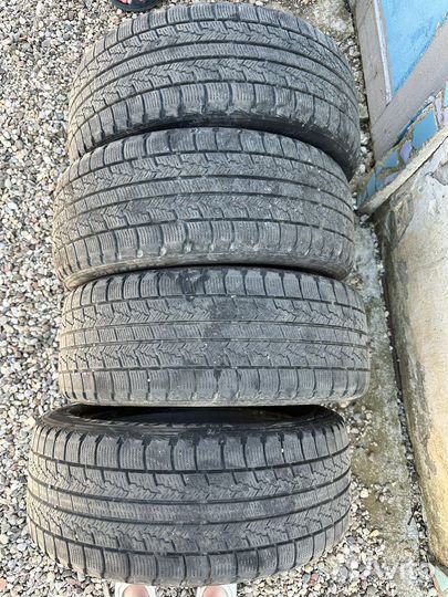 Nexen Winguard Ice 205/55 R16