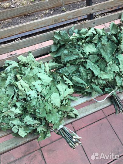 Веник дубовый