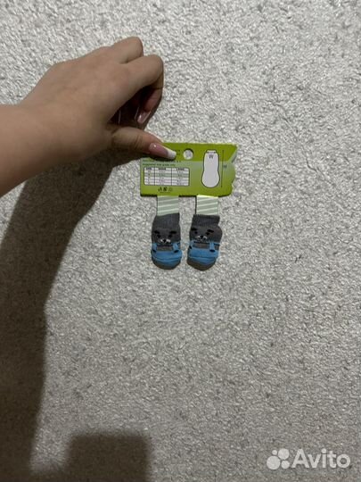 Носки для собак