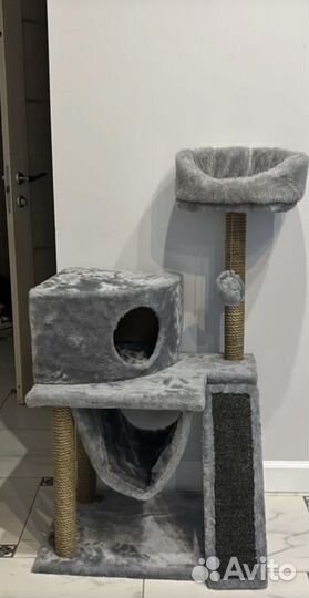 Когтеточка