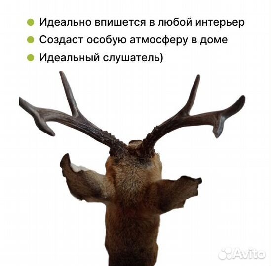 Голова косули