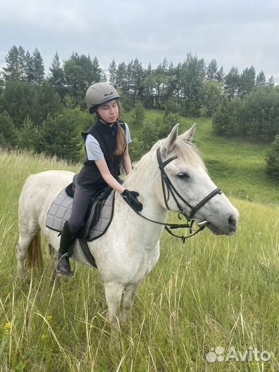 Конные прогулки, тренировки, конный лагерь