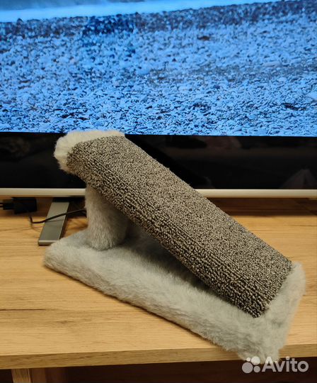 Когтеточку отдам