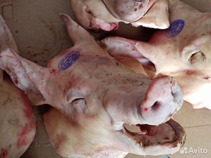 Головы свиные охлажденные