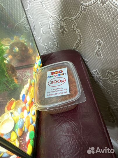 Аквариум с рыбками