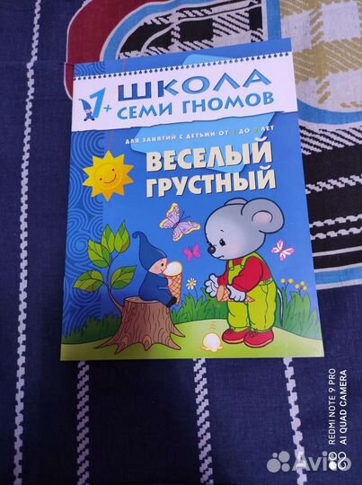 Веселый грустный