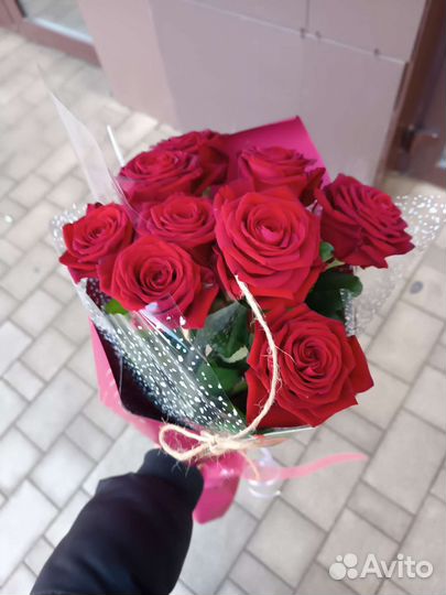 Розы Эквадор. Супер сорт