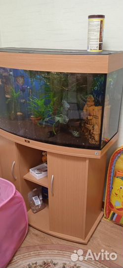 Аквариум