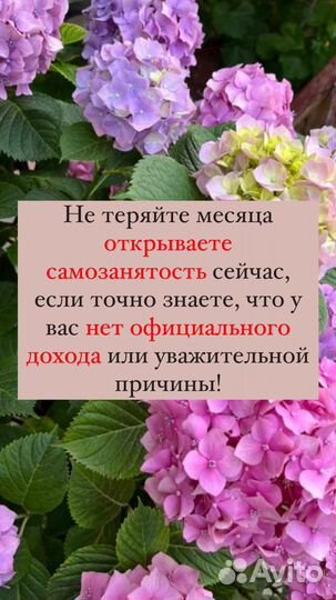 Оформление детских пособий и самозанятость