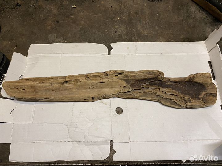 Коряги аквариум террариум дрифт вуд морской топляк