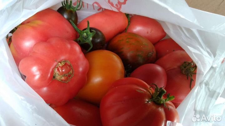 Помидоры, лук зелёный, кабачки