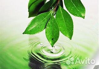 Разработка паспортов опасных отходов