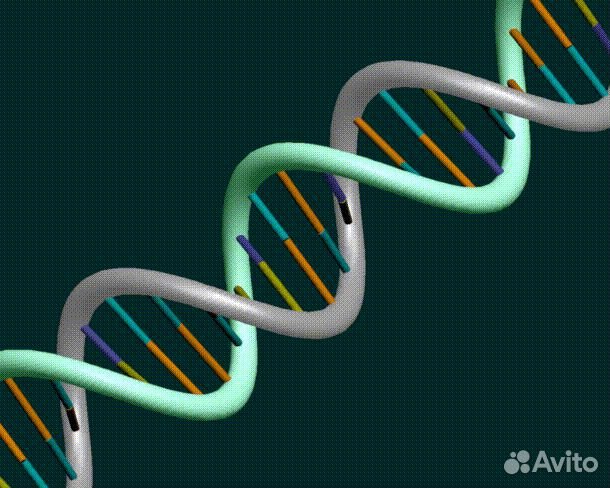 Репетитор по Биологии и Химии