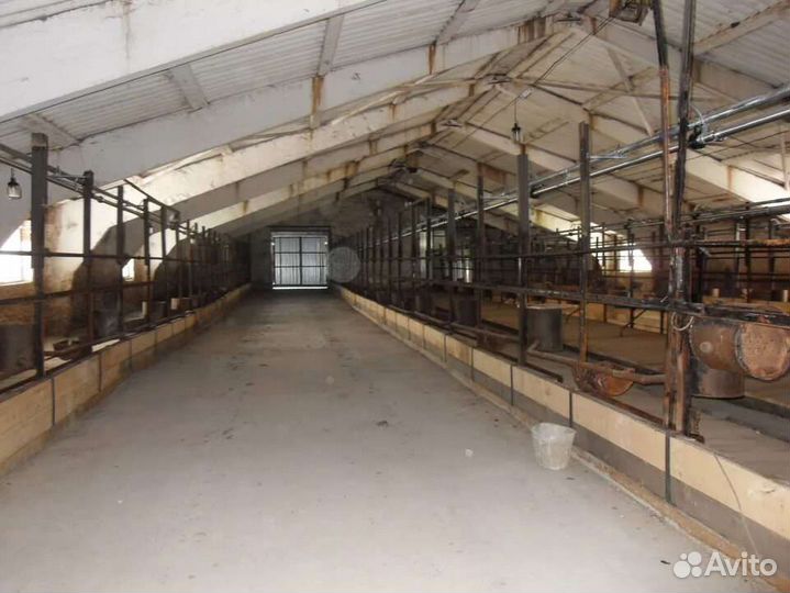 Продам ферму