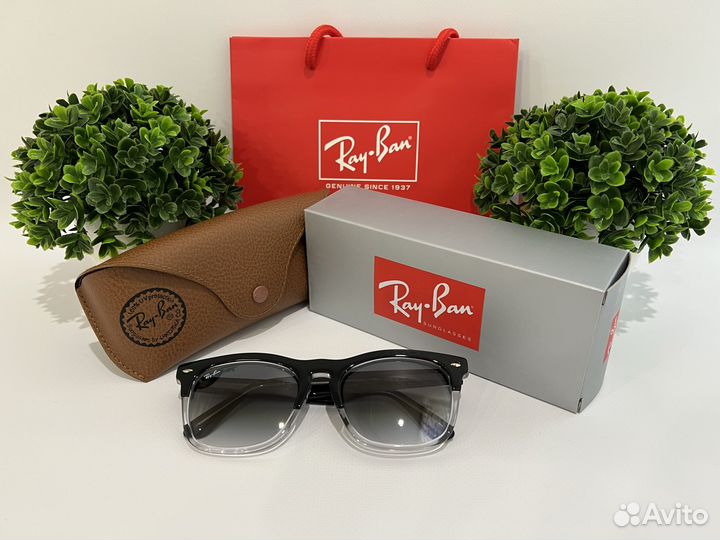 Очки Ray Ban Steve