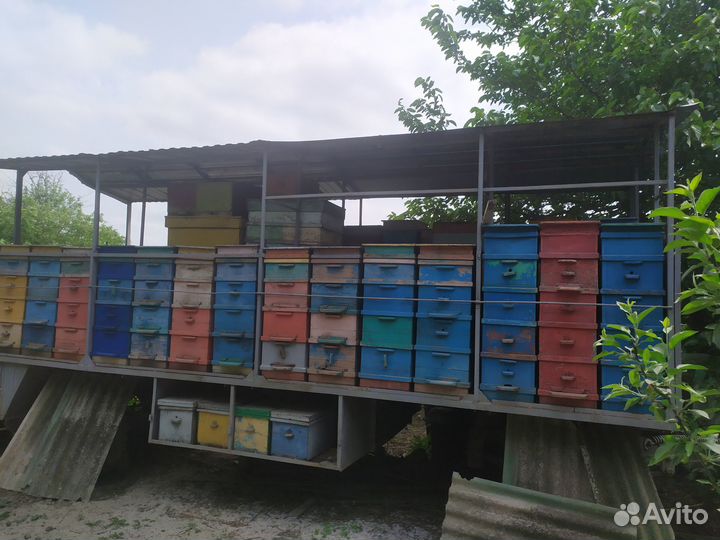 Прицеп пчеловодный