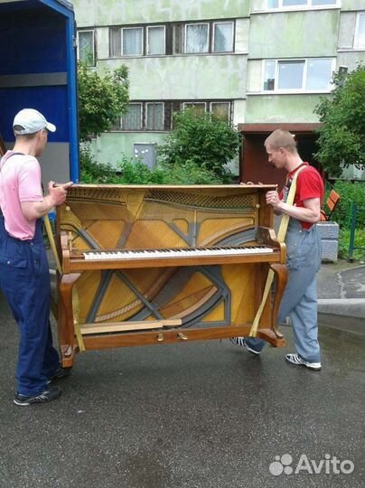 Грузчики/Грузоперевозки/Переезды/Разнорабочие