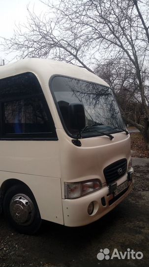 Заказ автобуса