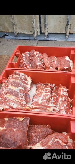 Мясо халяль безсорт