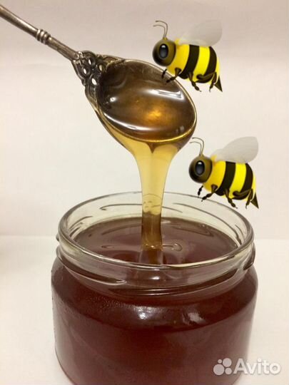 Мёд Алтайский дягель темный