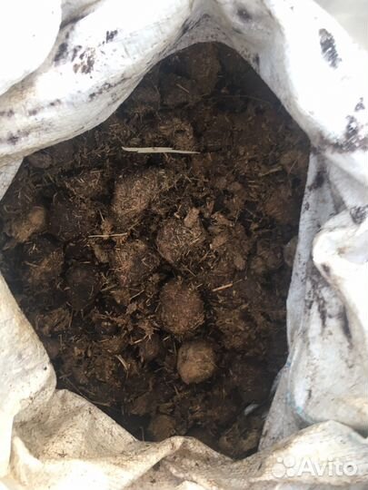 Навоз конский