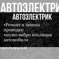 Автоэлектрик выезд