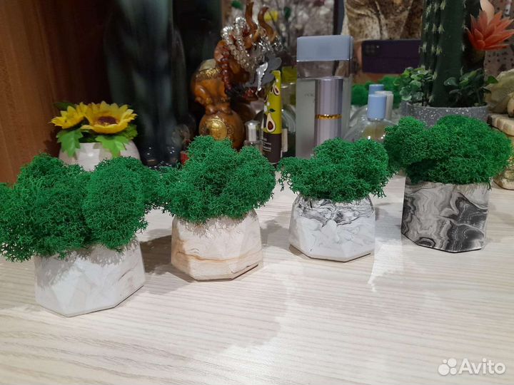 Декоративное кашпо с стабилизированным мхом