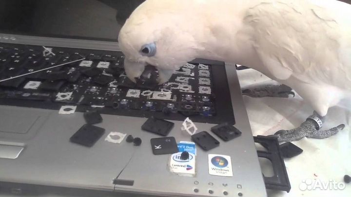 Ремонт телефонов, смартфонов, планшетов