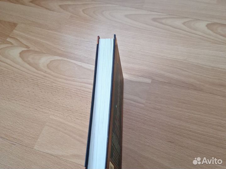 Коты воители темная река