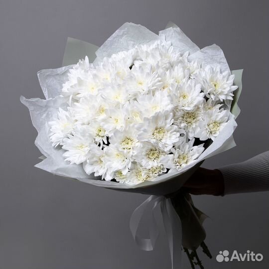 Букет Хризантема кустовая 