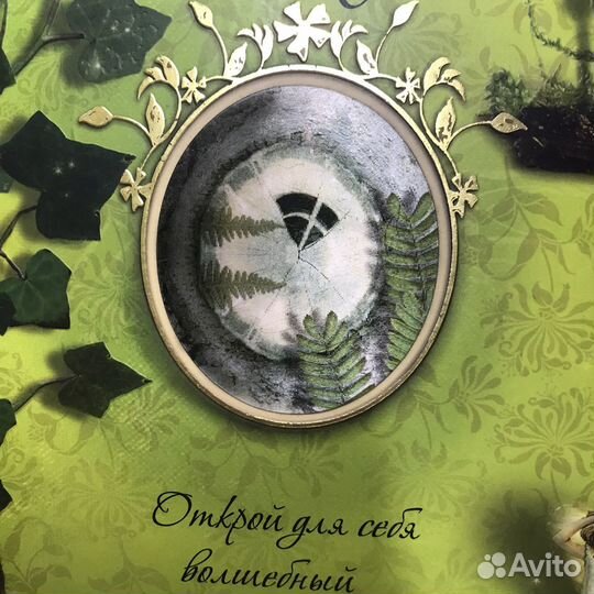 Королевство фей Сесиль Баркер