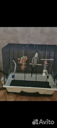 Клетка Savic Primo 50