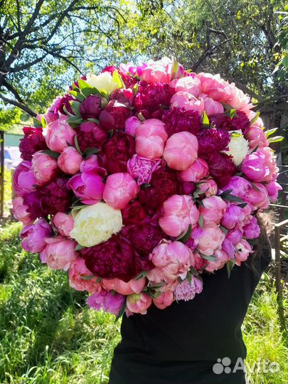 Пионы букет