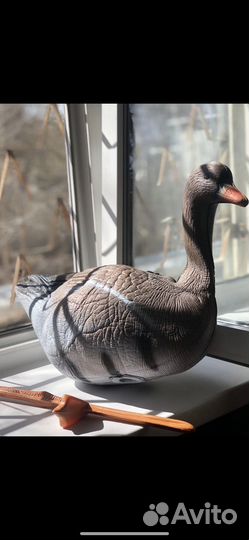 Профиля гусей