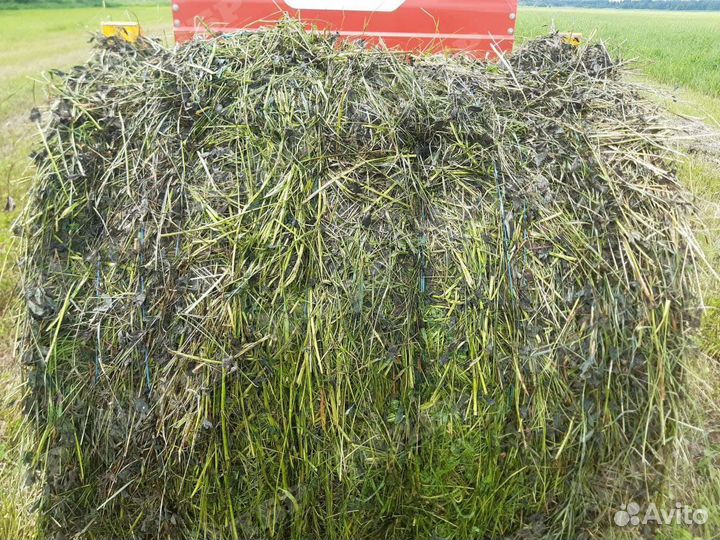 Пресс-подборщик Maschio Gaspardo Entry 120, 2023