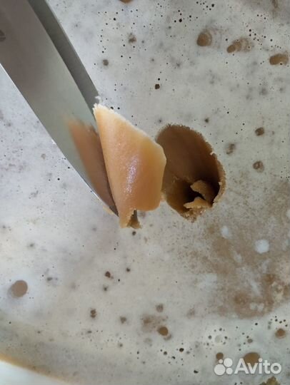 Мёд Гречишный, 2022