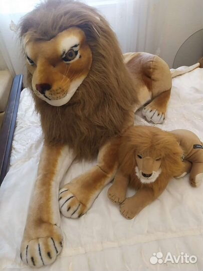 Львы- радость в доме