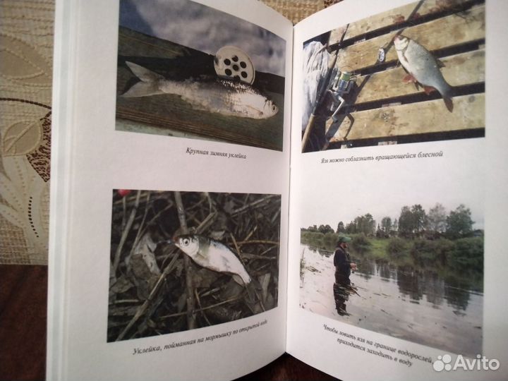 Охота и рыбалка книги