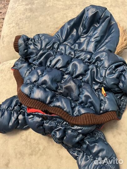 Одежда для маленьких собак