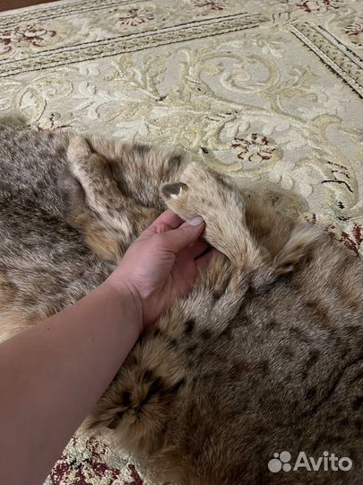 Воротник из рыси