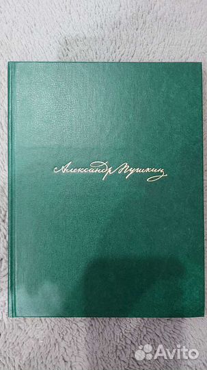 Дубровский А.С.Пушкин