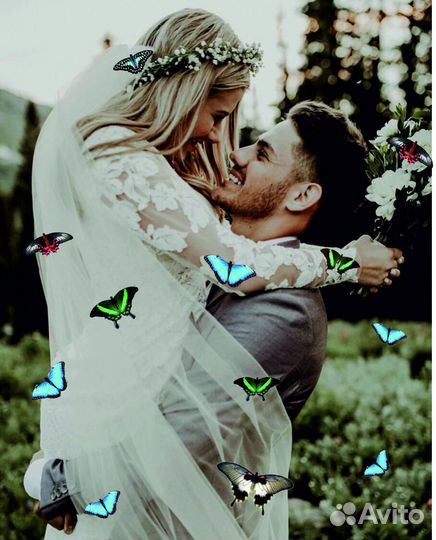 Салют из Живых Тропических Бабочек с/б-10