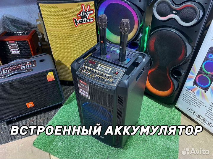 Колонка QiSheng с микрофоном и караоке