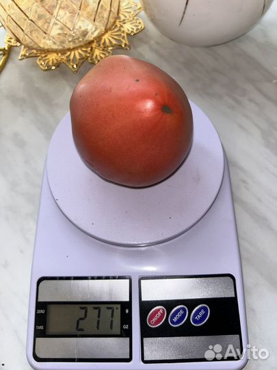 Помидоры домашние