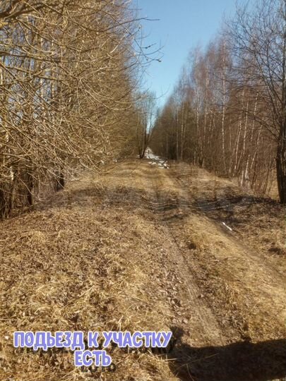 Участок 4,38 га (СНТ, ДНП)