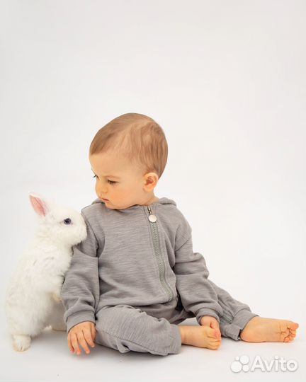 Аренда кроликов