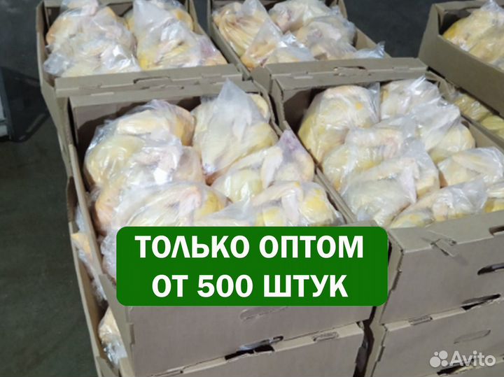 Бройлеры тушки мясо оптом