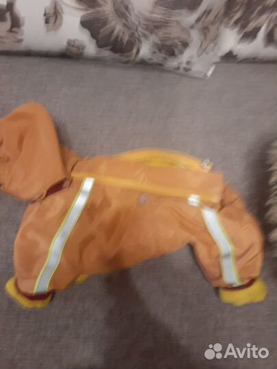 Одежда для маленьких собак