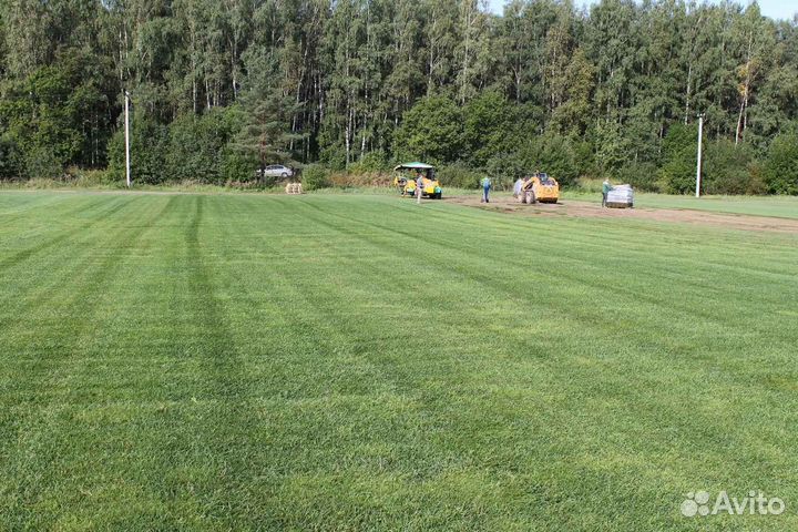 Рулонный газон от производителя