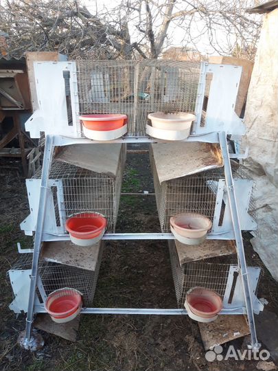 Клетка для содержания кроликов или птицы